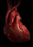 Un modello 3D per il flusso sanguigno predice gli attacchi di cuore