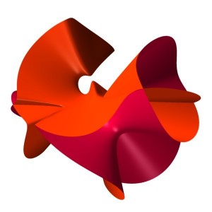 image (6)