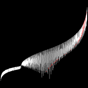 codadicane