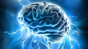 Il futuro dello studio del cervello? La topologia