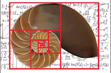 Letture matematiche: collana di libri di U Math