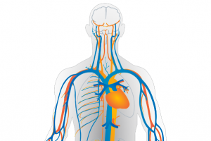 circ_system_white_cut_small