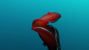 Creare nuovi robot flessibili grazie alla... lumaca di mare