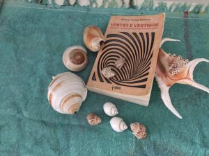 67496710_871485619893960_7364660278778134528_n