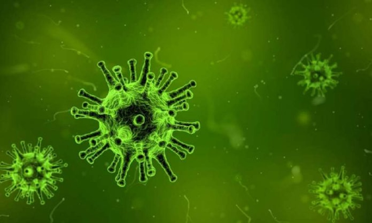 Virus: elaborata teoria matematica che spiega come si diffondono quando mutano