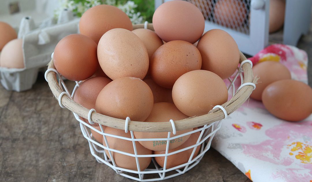 Trovata la formula universale dell’uovo: un piccolo passo per un uovo, un grande passo….