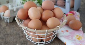 Trovata la formula universale dell'uovo: un piccolo passo per un uovo, un grande passo....