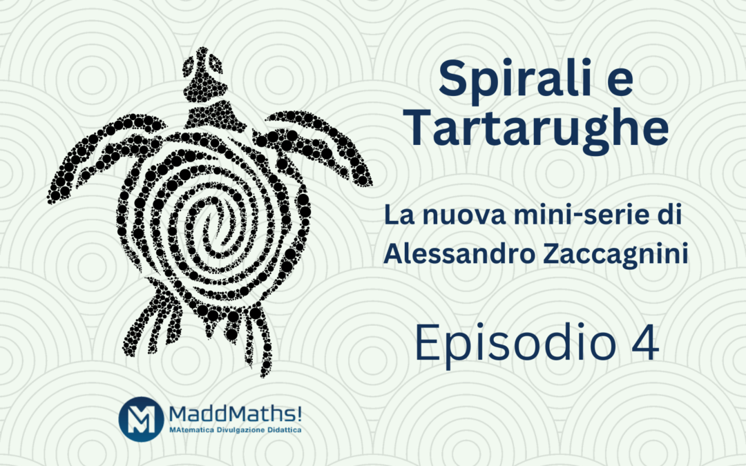 Spirali e tartarughe – Quarta puntata