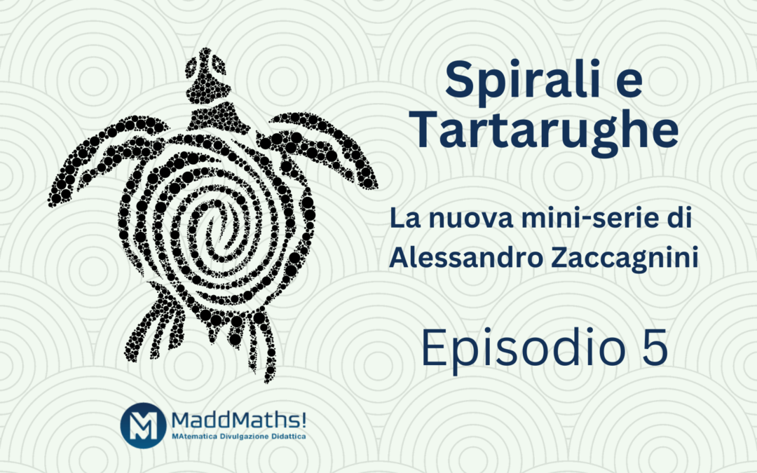 Spirali e tartarughe – Quinta e ultima puntata