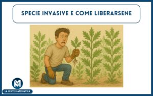 specie invasive