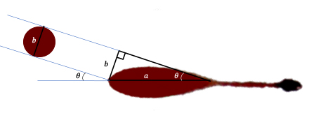 Rappresentazione del triangolo che andiamo a costruire sulla macchia di sangue