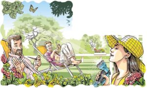 I Problemi di LeScienze – Agosto 2025 – Il giardino delle aiuole incrociate Immagine per sito (684)