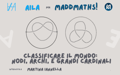 Classificare il mondo: nodi, archi, e grandi cardinali – Intervista a Martina Iannella
