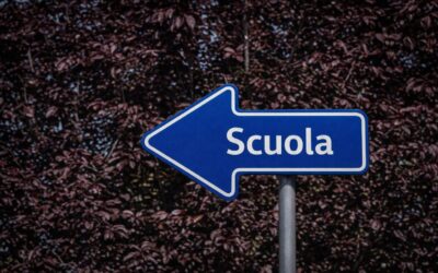 Un’intervista sulle nuove Indicazioni Nazionali per i Licei: profili e curricula scolastici 2026