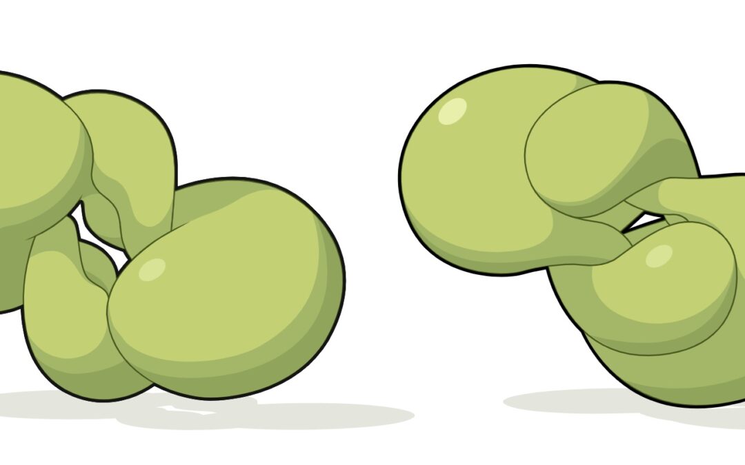 Trovata la prima “Coppia di Bonnet” compatta