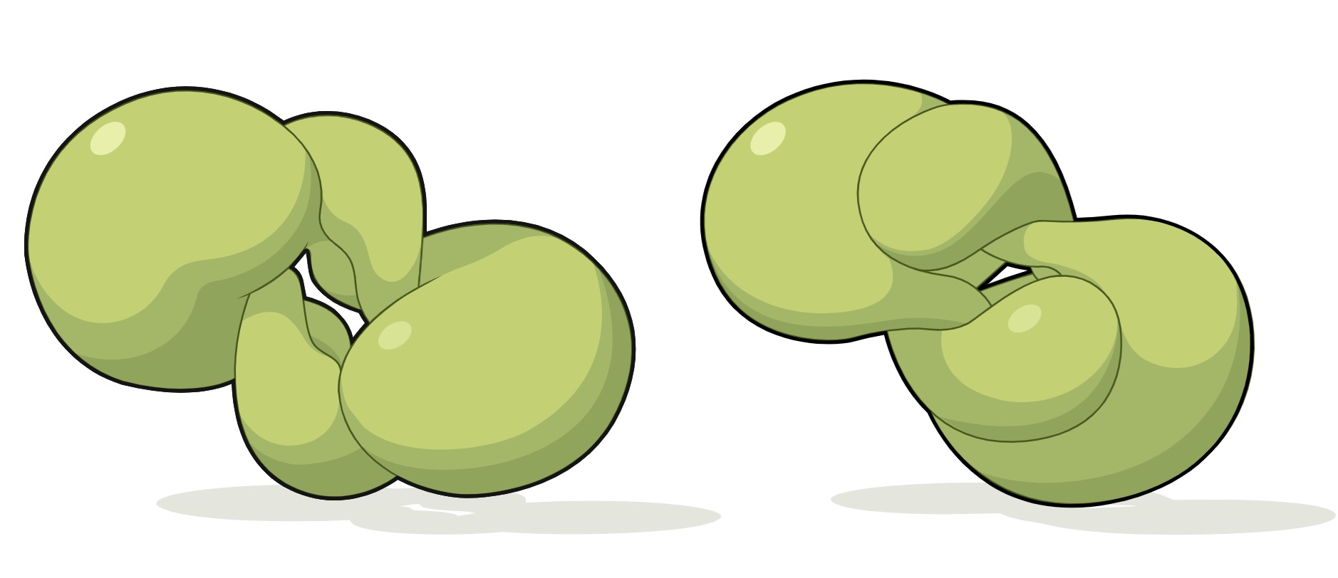 Trovata la prima “Coppia di Bonnet” compatta